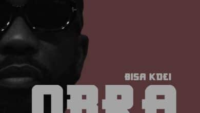 Bisa Kdei – Obra