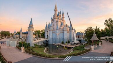 Cinderella Castle Transformation: Magic Kingdom Icon Sheds Its Construction Skin Overnight 38 Cinderella Castle Transformation: Magic Kingdom Icon Sheds Its Construction Skin Overnight