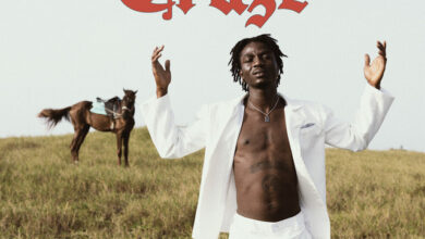 Dikoo – STF Craze
