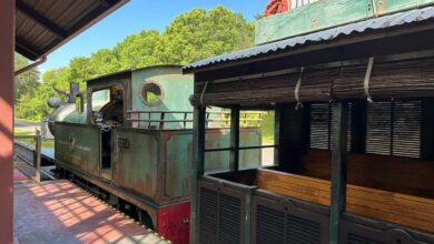 Disney Officially Removes of Africa Experience From Animal Kingdom – See What’s Replacing It
