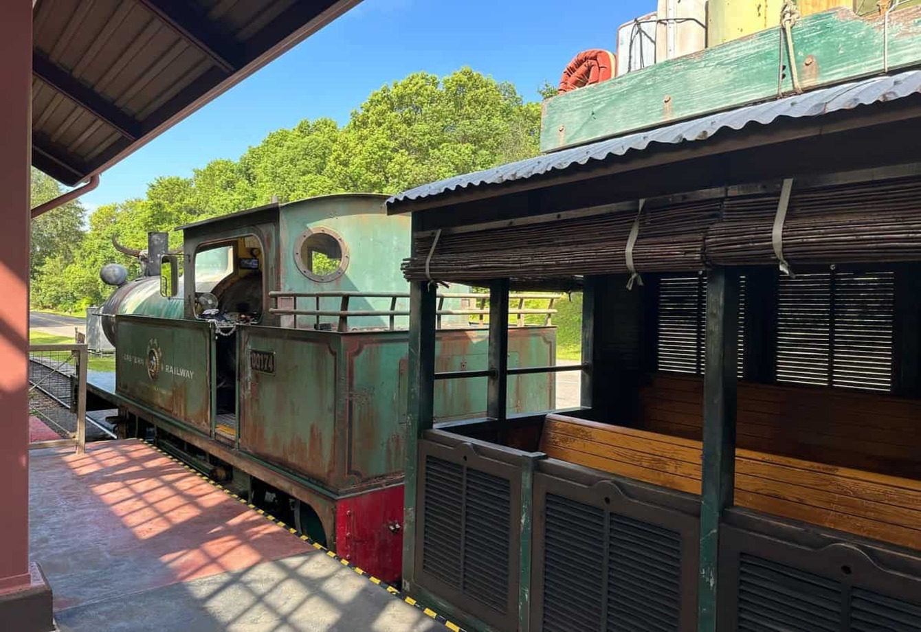 Disney Officially Removes of Africa Experience From Animal Kingdom – See What’s Replacing It