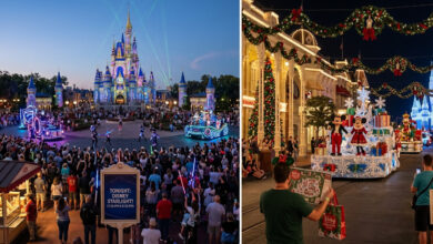 Disney World Magic Kingdom Update: What You Need to Know About the November Schedule Change