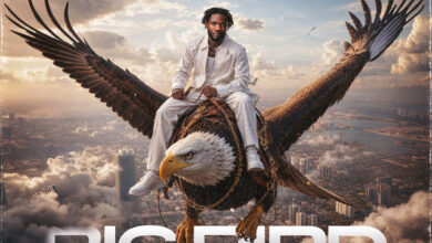 Lyrical Joe – Oheneba Abronoma (Big Bird)