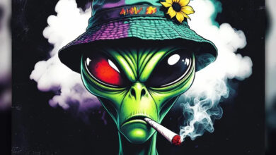 Maccasio – 18th July