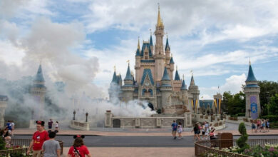 Is Cinderella Castle on Fire? Separating Disney Myths from Reality 32 Is Cinderella Castle on Fire?
