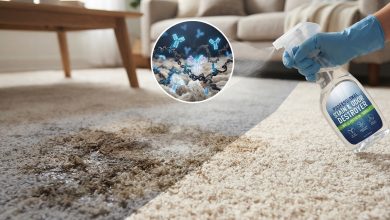 The Ultimate Guide to Enzyme Cleaners: How to Erase Pet Stains and Odors for Good