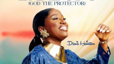 Diana Hamilton – Nyame Banbofo (God the Protector)
