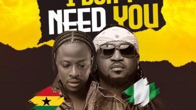 Fancy Gadam – I Don’t Need You Ft. Rudeboy