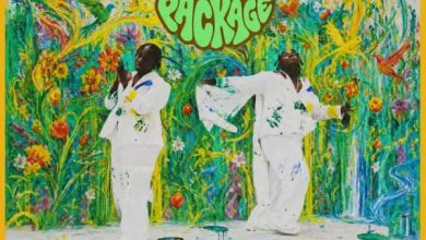Teni – Wise Ft The Cavemen