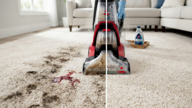 Carpet Cleaners: The 5+ Models Our Experts Actually Trust