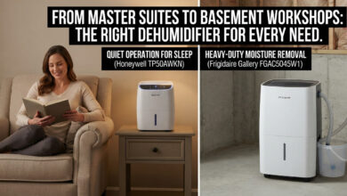 Breathing Easier: The Best Dehumidifiers to Banish Mold and Humidity for Good