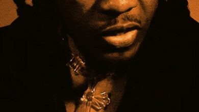 Article Wan – Faya
