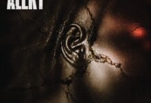 Dikoo – Alert