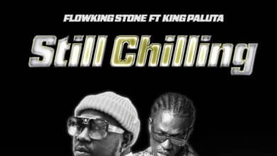 Flowking Stone – Still Chilling Ft King Paluta
