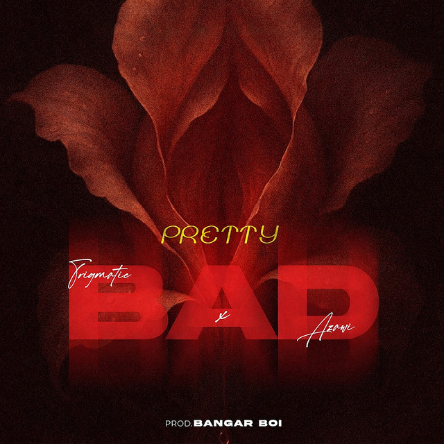 Trigmatic – Pretty Bad Ft Azawi 1 Trigmatic – Pretty Bad Ft Azawi