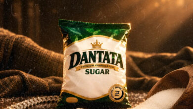 Zinoleesky – Dantata