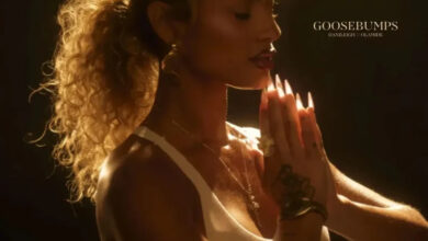 DaniLeigh - Goosebumps Ft Olamide