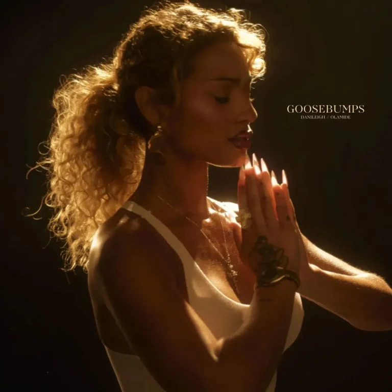 DaniLeigh - Goosebumps Ft Olamide