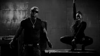 Harmonize - Kudos