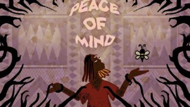 Hunnyboy – Peace of Mind