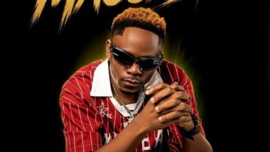 Maccasio – WAMA