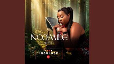 Ncomile Msomi – SEKUJOLA MINA Ft Mxhashazwa