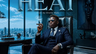 Shatta Wale – Heat