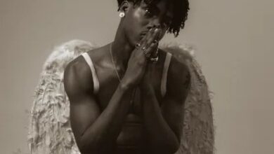 AratheJay – Wings