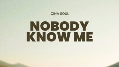 Cina Soul – Nobody Know Me