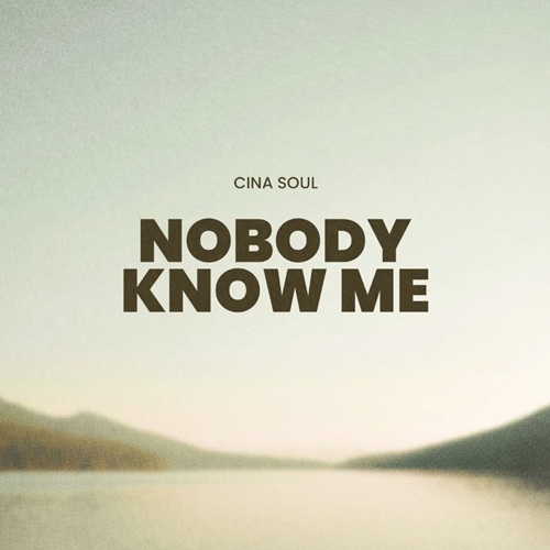 Cina Soul – Nobody Know Me