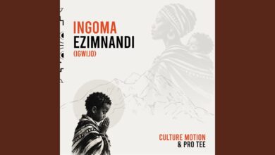 Culture Motion – Ingoma Ezimnandi (iGwijo) Ft Pro Tee