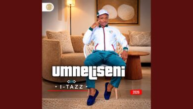 Mneliseni – Ngisezintweni