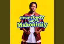 ShaunMusiq – Everybody hates Mshoniziiy